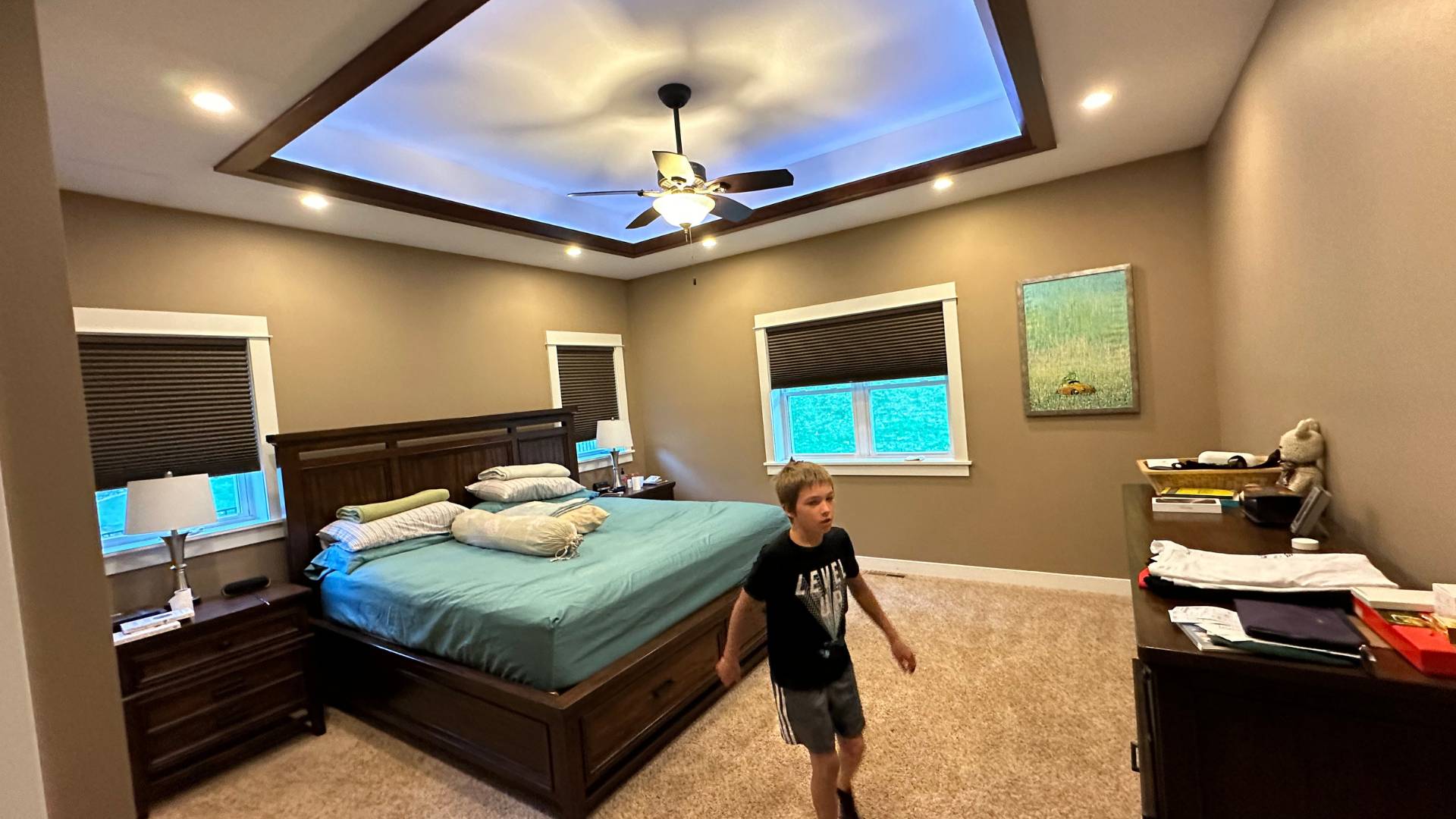 Pioneer Painting project