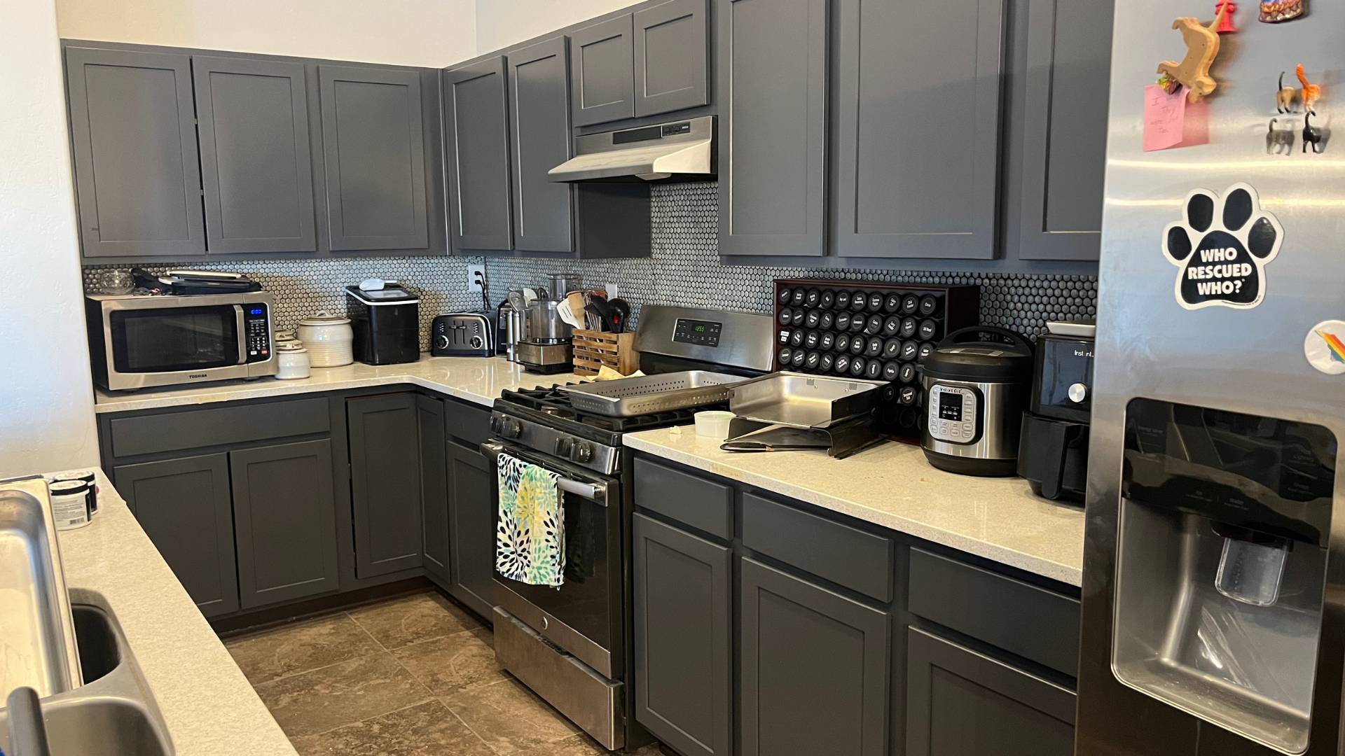 Pioneer Painting project