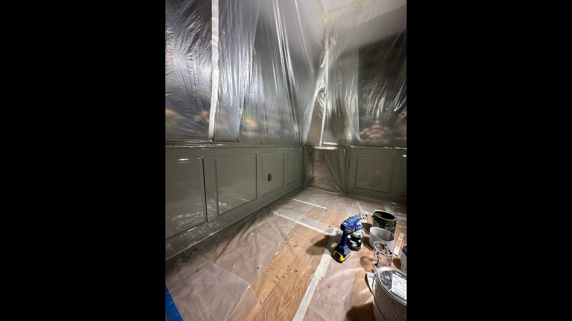 Pioneer Painting project